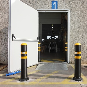 sisteme pentru protectia usilor